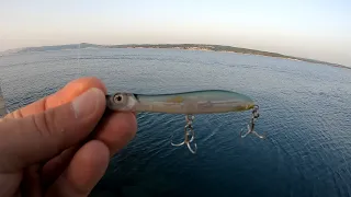 Big mackerel on topwater Xorus Patchinko 85 Adriatic Sea Crikvenica