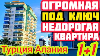 НЕДОРОГО ОГРОМНАЯ ДВУШКА квартира в Алании ПОД КЛЮЧ недвижимость в Турции