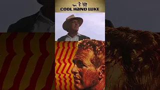 What We've Got Here is Failure to Communicate • Cool Hand Luke (1967)