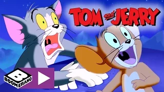 Tom & Jerry | Northern Lights | Boomerang UK