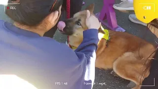 제가 바로 그 모카입니다😉🐕☀️🥰