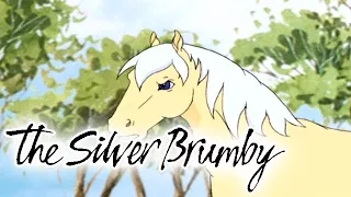 The Silver Brumby - Episode 15 | To Catch a Brumby | HD | Full Episode | Cartoons For Kids