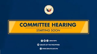 Public Hearing of the Committee on Constitutional Amendments and Revision of Codes