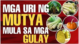 MGA URI NG MUTYA MULA SA GULAY | AGIMAT AT MGA MUTYA SA PILIPINAS | Bhes Tv