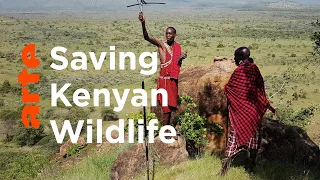 Kenya: Protect Animals, or Humans? I ARTE.tv Documentary