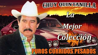 Chuy Quintanilla / La Mejor Colección / Puros Corridos Pesados / Para Pistear 2024