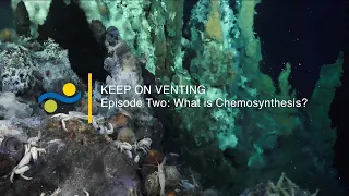 Keep On Venting - Ep. 2 - What is Chemosynthesis?
