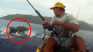 6 Shark Encounters You Will Regret Watching