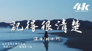 林小珂 - 記得很清楚『那晚你聽了我曾受的傷，說會保護我。』【高音質|動態歌詞Lyrics】♫