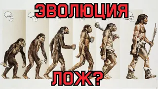 Теория эволюции это ЛОЖ? / Мифы и гипотезы эволюции.