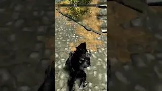 The rare Khajiit werewolf hybrid glitch (for a few seconds)