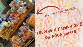 Feeding a family of 5 on free food! Cutting costs and reducing food waste. Money saving tips..