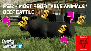 FS22 - Most profitable animals part 6 - Beef Cattle?