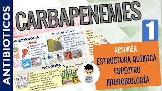 CARBAPENEMES, MONOBACTAMICOS, Resumen, Espectro Antibacteriano, Mecanismo de Acción, | P1