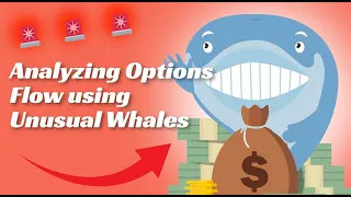 Analyzing Options Flow data using Unusual Whales