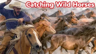 Gathering Feral Horses On the Navajo Nation!