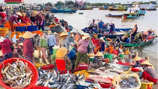 Ngư Dân Phan Thiết Đánh Ốc Kèn Giá Trị Cao | Lẩu Thái Mực Cá Bớp Tôm Chua Cay