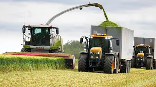 TWO XXL TIPPER of 65m3! 😱 ENSILAGE 2022 in France