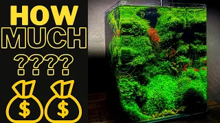 HOW MUCH DOES A PLANTED TANK COST? How Much Do I Spend On AQUASCAPING? 8 TIPS To Save Money!