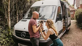 And Then There Were 3! Van Life with a Puppy Ep 26 | Van Life UK | VAN LIFE DIARIES