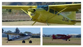 30 mins of plane spotting | Cessna 180/185 70th Anniversary | Omaka