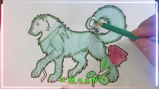 Instructions for coloring the picture of Mateu dog with red roses