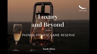 Luxury and Beyond | Phinda - The Return