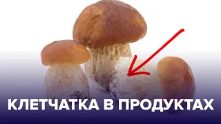 Зачем нужна КЛЕТЧАТКА и в каких продуктах её больше?