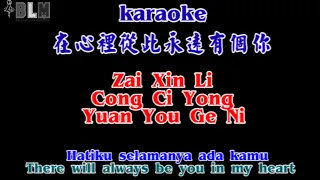 Zai Xin Li Cong Ci Yong Yuan You Ge Ni - Karaoke - 在心里从此永远有个你   - Terjemahan - Lyrics - Lirik