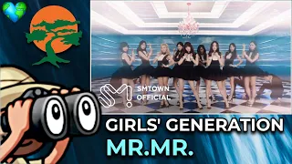 REACTION | Girls' Generation 소녀시대 'Mr.Mr.' MV