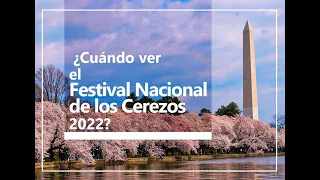 Festival Nacional de los Cerezos 2022: ¿Dónde y cuándo verlo?