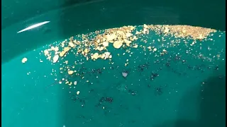 Gold Panning on Lynx Creek Arizona January 2019