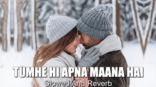 Tumhe Hi Apna Maana Hai (Slowed And Reverb) | Srikanth