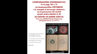 Ms Voynich & COVID 19 - conferenza del 24/09/2020