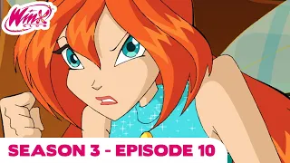 Winx Club - Season 3 Episode 10 - Alfea Under Siege - [FULL EPISODE]
