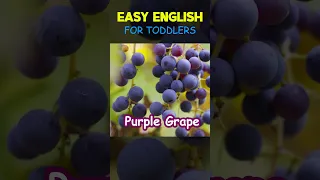 EASY ENGLISH LEARN COLORS WITH FRUIT FOR KIDS