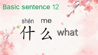 Basic sentence 12 ,what, 什么，Chinese with Lucy ,露西中文，中文对话，日常生活用语，中文入门，实用汉语，普通话