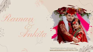 RAMAN & ANKITA  | WEDDING HIGHLIGHTS 4K | WEDDING GALLERY | 2024 #weddinggallery #weddinghighlights