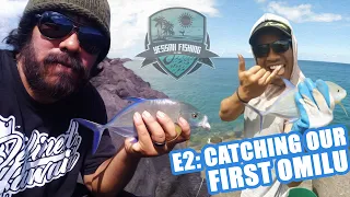 Catching our first Omilu (Bluefin Trevally) - Hilo Hawaii fishing Breakwall Action