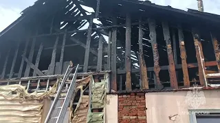 При тушении дома в Кинешме пожарные спасли собаку