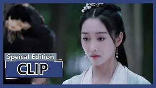 【陈情令 The Untamed】EP10 Clip 傲娇小公子终于向师姐表白啦，害羞逃跑的样子也超可爱！