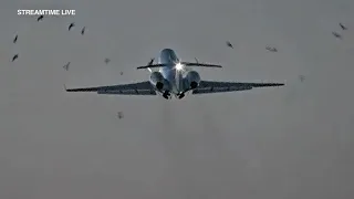 Video captures bird strike on plane during takeoff from Midway