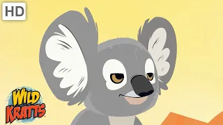 Creatures of Australia | Koalas, Kangaroos, Platypus + more! [Full Episodes] Wild Kratts