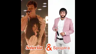 Señorita (shawn mendes, camila cabello) &  Бродяга (Эльбрус Джанмирзоев)   accordion & bass guitar