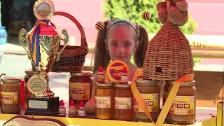 Novi zakon o pčelarstvu - Brčko (BN TV 2019) HD