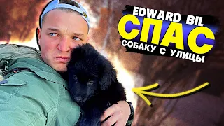 EDWARD BIL / СПАС БЕЗДОМНОГО ДРУГА / ПОДОБРАЛ СОБАКУ С УЛИЦЫ / ПОМОГ ПРИЮТУ ДЛЯ ЖИВОТНЫХ