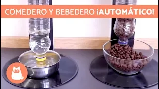 Comedero dispensador AUTOMÁTICO para perros 🐕  MANUALIDADES para tu MASCOTA