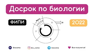 РАЗБОР ВАРИАНТА ФИПИ ПО БИОЛОГИИ 2022 | Biocoma