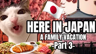 CAT MEMES: WELCOME TO JAPAN PT.3