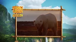 The Jungle Book Safari - Episode 24 -  The Arctic